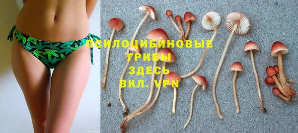 таблы Семёнов