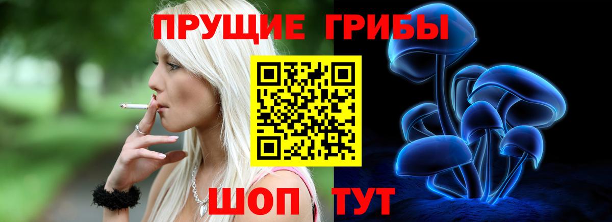 Знаменск  Псилоцибиновые грибы MAGIC MUSHROOMS  Вход с VPN  Псилоцибиновые грибы мицелий 